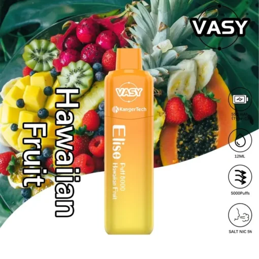 színész Közvetlen Vasy Elise 5000 Puffs nagykereskedés többféle ízválasztékkal az egyedülálló vaping élményért (21)