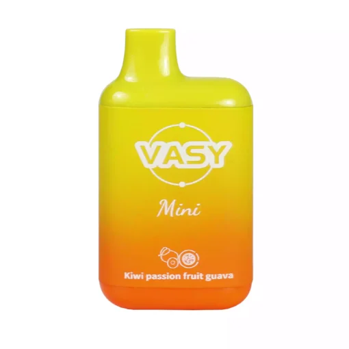 VASY Mini 600 Puffs Factory Source Wholesale com uma variedade de sabores para uma nova experiência de vaporização 6