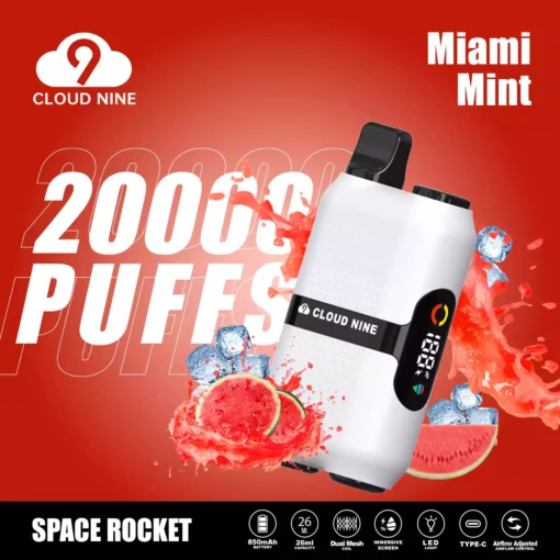 CLOUD NINE D33 28000 Puffs Direct from Factory Wholesale Multiple Flavors to Try (10)