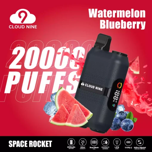 CLOUD NINE D33 28000 Puffs Direct from Factory Wholesale Multiple Flavors to Try 9