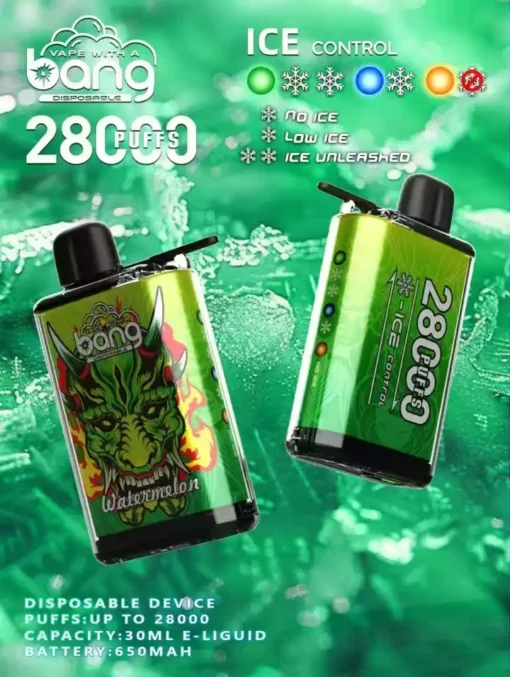 Best Bang Vapes with 6000 puffs Wholesale in Portugal