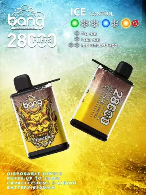 Bang 28000 Puffs 31