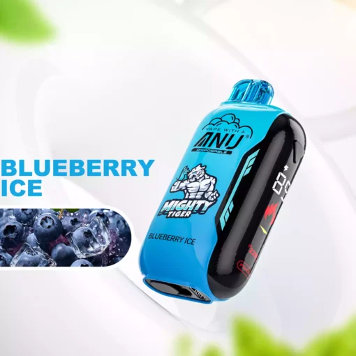 ANU Vista 30000 Puffs Direct from Factory Wholesale Multiple Flavors to Try 22