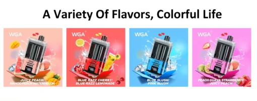 Wholesale WGA 30k Puffs Disposable Vape with Battery and E Liquid Display