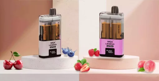 Wholesale WGA 30k Puffs Disposable Vape with Battery and E Liquid Display