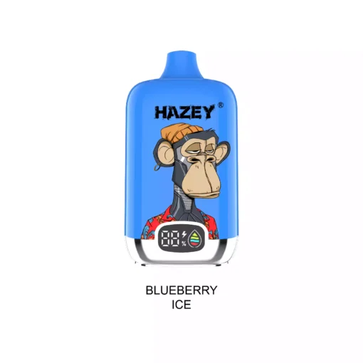 Premium Mesh Coil Vape Hazey D195 18000 Puffs With Nicotine Variants