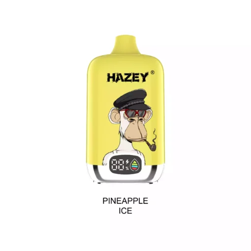 Premium Mesh Coil Vape Hazey D195 18000 Puffs With Nicotine Variants
