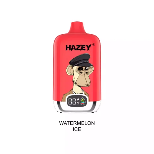 Premium Mesh Coil Vape Hazey D195 18000 Puffs With Nicotine Variants