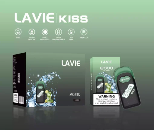 High Quality LAVIE KISS 8000 Puffs Disposable Vape Pen with Type C Charging and Salt Nicotine