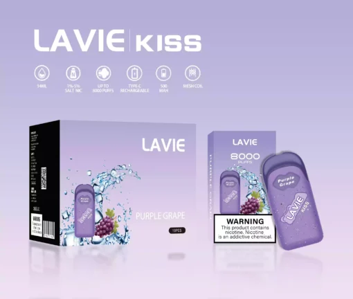 High Quality LAVIE KISS 8000 Puffs Disposable Vape Pen with Type C Charging and Salt Nicotine