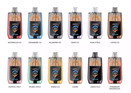 Quality Guaranteed LAVIE CAMEO 30000 Puffs Vape with Dual Mesh Coil and MI Trigger
