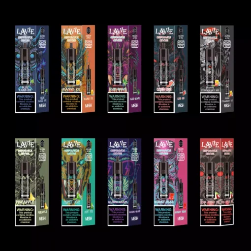 Wholesale LAVIE OCO OC10000 Puffs Disposable Vapes with Fast Type C Charging