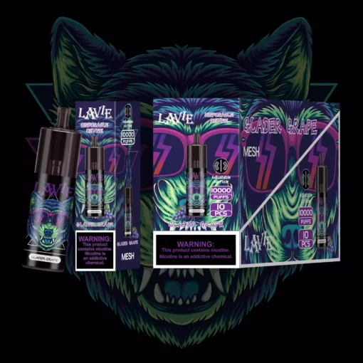 Wholesale LAVIE OCO OC10000 Puffs Disposable Vapes with Fast Type C Charging